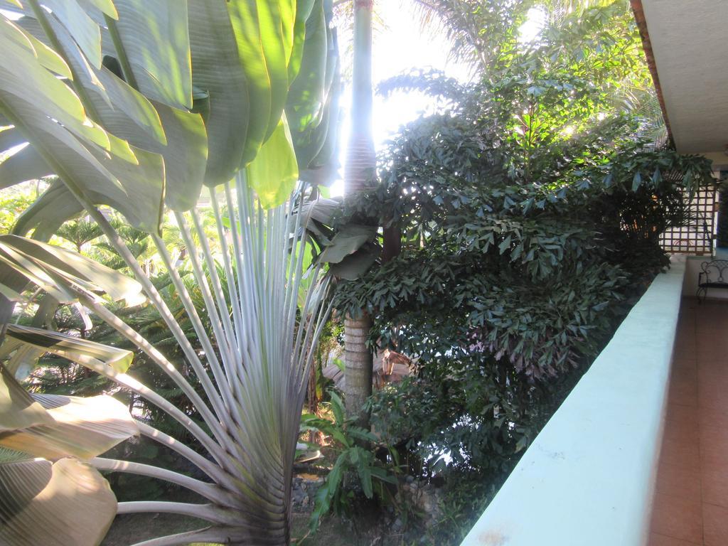 נגואה Hotel Cambri מראה חיצוני תמונה