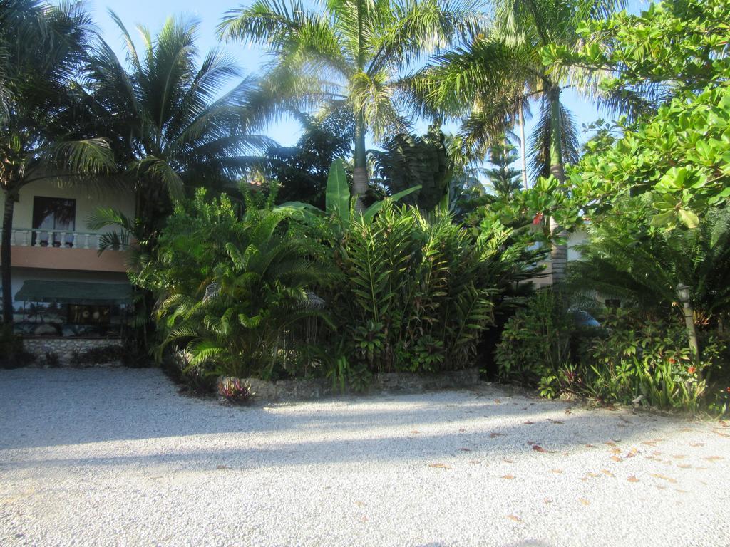 נגואה Hotel Cambri מראה חיצוני תמונה
